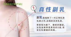 -金都微美·精准护肤·疗愈SPA