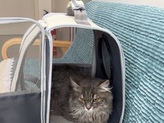 -佳雯宠物医院·皮肤科·内外科(春晓路分院)