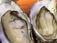 -千岛蚝高压锅生蚝·人参火锅(白云万达店)