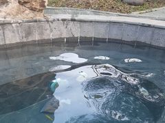 -湖景温泉