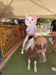 -萌宠亲子动物乐园(槐房万达店)