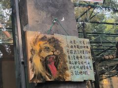 -柳州市动物园