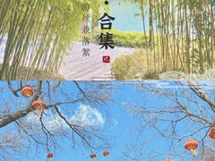-团结湖公园