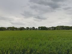 -嘉北郊野公园