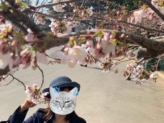 -青岛中山公园-索道售票处