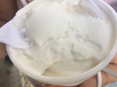椰子雪糕-洪馨椰子