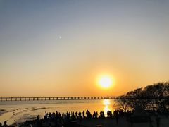 -宝安西湾红树林湿地公园