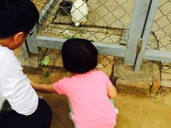 意大利农场-意大利农场度假村