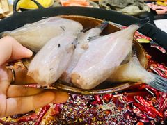 -肥龙火锅(南坪店)