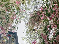 -深圳国际园林花卉博览园