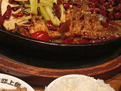 -老板恋上鱼(印象城店)