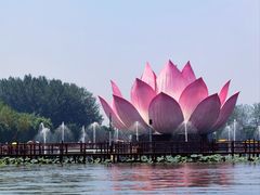 -白洋淀景区