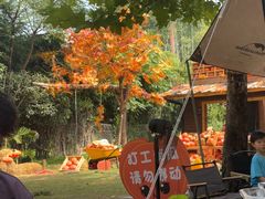 -HERRE·FARM 赫尔露营农场·团建聚会包场