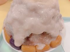-王守财小山園