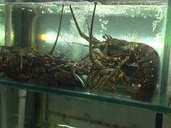 -覃记海鲜美食餐厅