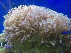 -纽斯桑拿会所(餐厅天山路店)