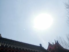 -西塔