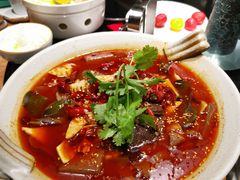 -辛香汇·现炒川菜(淮海路百盛店)
