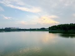 -大兴滨河森林公园