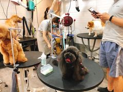 -PETKIT小佩宠物(古北店)