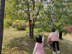 -广东花都湖国家湿地公园