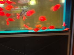 -晶品养生·SPA·影院式足道(汇臻店)