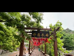 -爱情山风景区