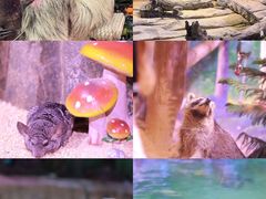 -正佳极地海洋世界