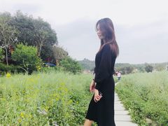-红山村