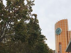-山东省青岛第二中学(江西路分校)