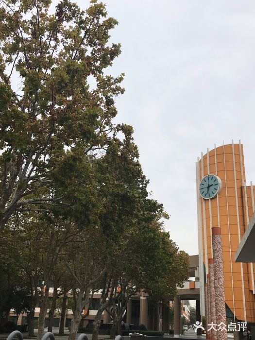 山东省青岛第二中学(江西路分校)图片