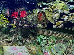 -鼎湖山风景区