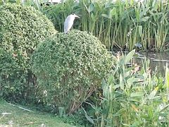 -龙环葡韵住宅式博物馆