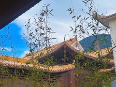 -深圳仙湖植物园