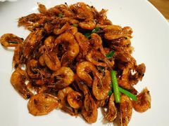 老北方油爆虾-老江南春·中国龙菜(衡山路店)