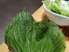 -狮子三•脆鳗鱼烤肉(信和廣場4樓店)