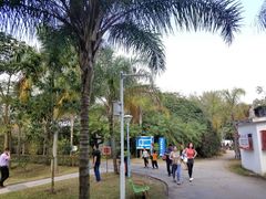 -北海市海滨公园