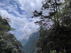 -峨眉山风景名胜区