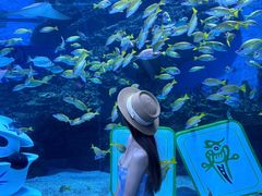 -海合安成都极地海洋公园