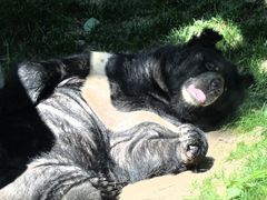 -北京野生动物园