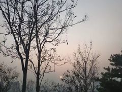 -清凉寺