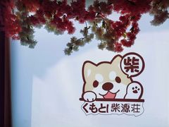 -柴源莊·柴小宠柴犬咖啡
