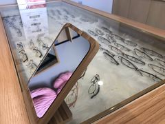 -无界眼镜MaxLess(五角场万达店)