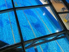 -菲鱼体育恒温游泳馆(中海名城店)