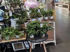 -豆豆花艺(新光天地店)