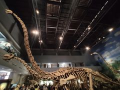 -自贡恐龙博物馆