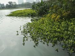 -九里河湿地公园