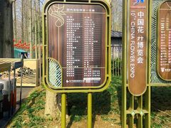 -东平国家森林公园