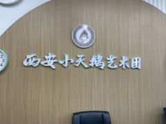 -西安小天鹅艺术团(金花路校区)