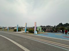 -空港花田景区